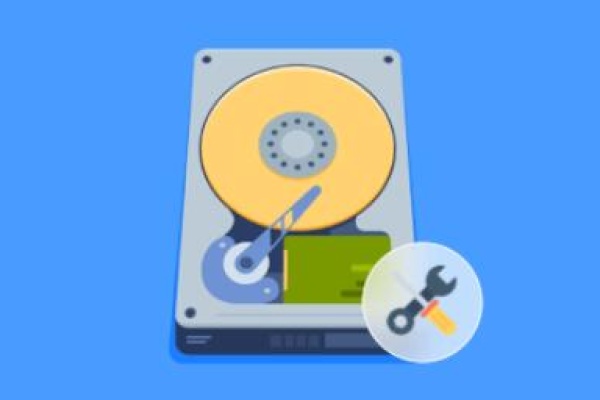 Data recovery hard drive