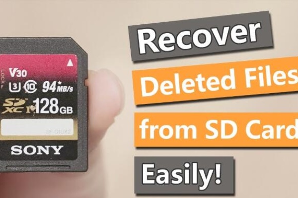 Data recovery software