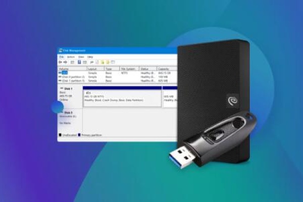 management windows unable to choose format other than ntfs​