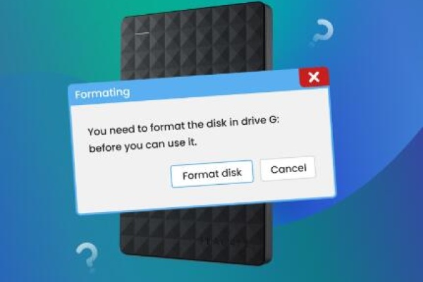 formatting a disk erase everything​