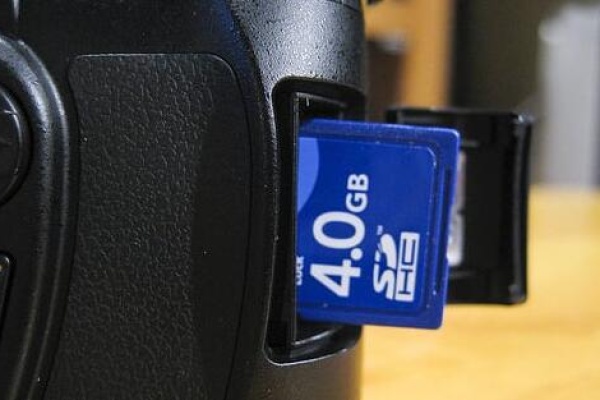 sd card for nikon camera​