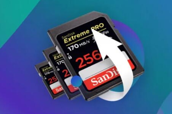 Free sd card data recovery