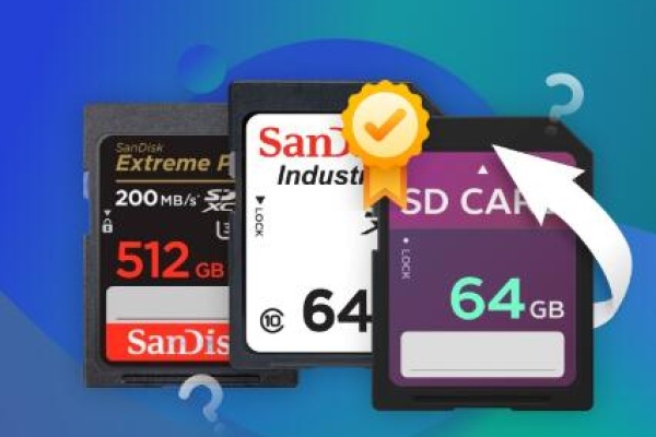 Free sd memory card