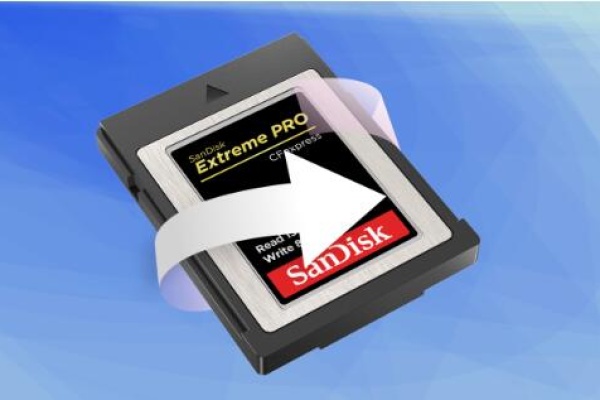 recover deleted photos from an sd card