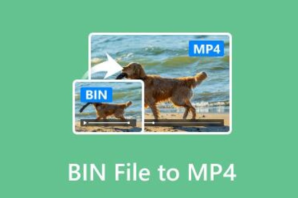 convert bin file to video