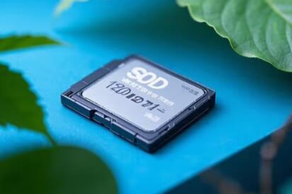 format an sd card on windows 10​