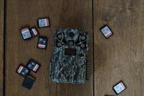 sd card for game camera