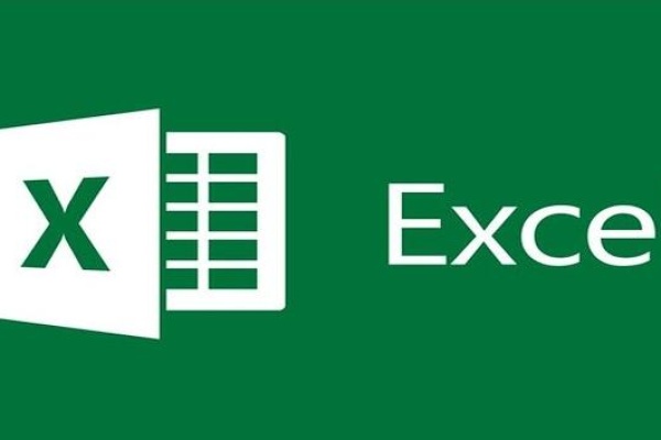 recover a shared excel file​