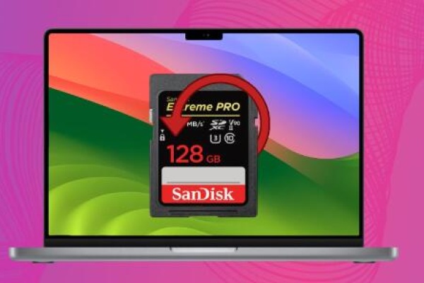 recover deleted items from sd card