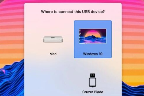 share usb drives parallels​