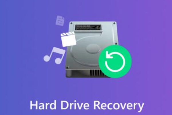 data from external hard drive wd​