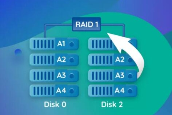 data from raid disk​