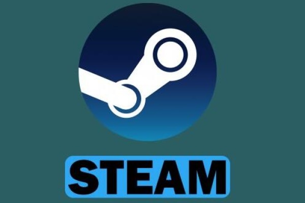 Steam missing downloaded files​