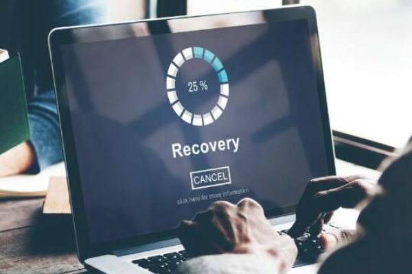 Stellar Data Recovery