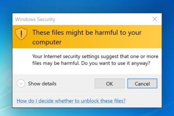 these files might be harmful to your computer