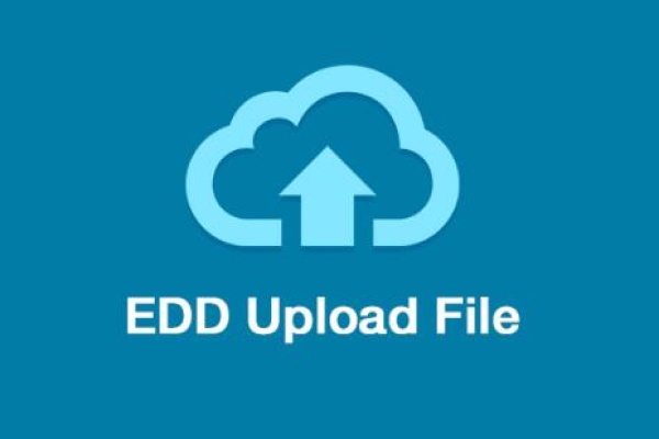 file to upload format