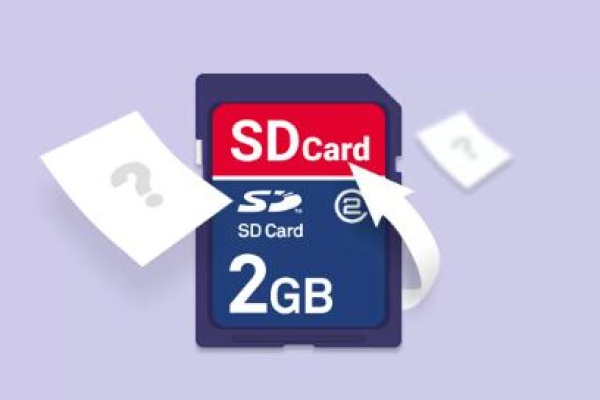 sd card disappeared