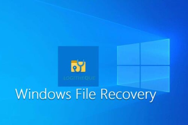 open after windows file recovery